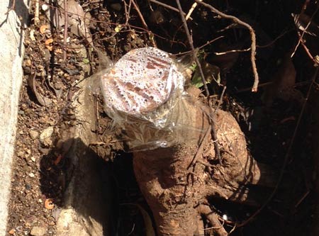 薬品注入後ラップでカバー