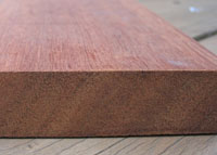 ウリンの断面と表面